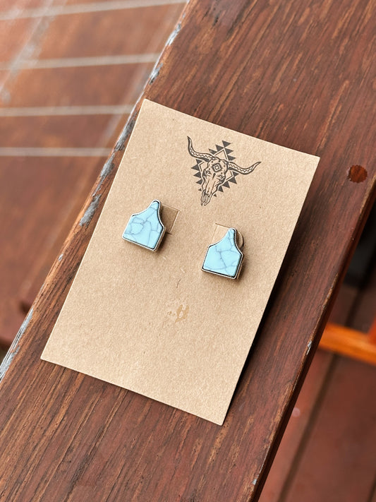 Turquoise Ear Tags